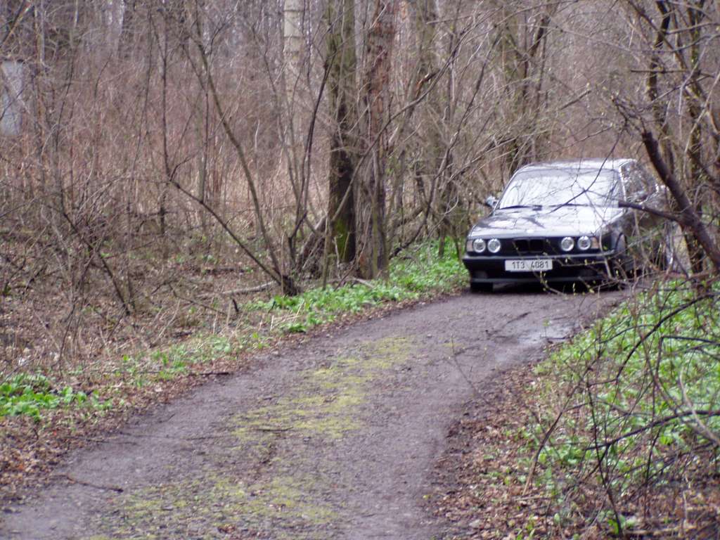 P1010046.JPG