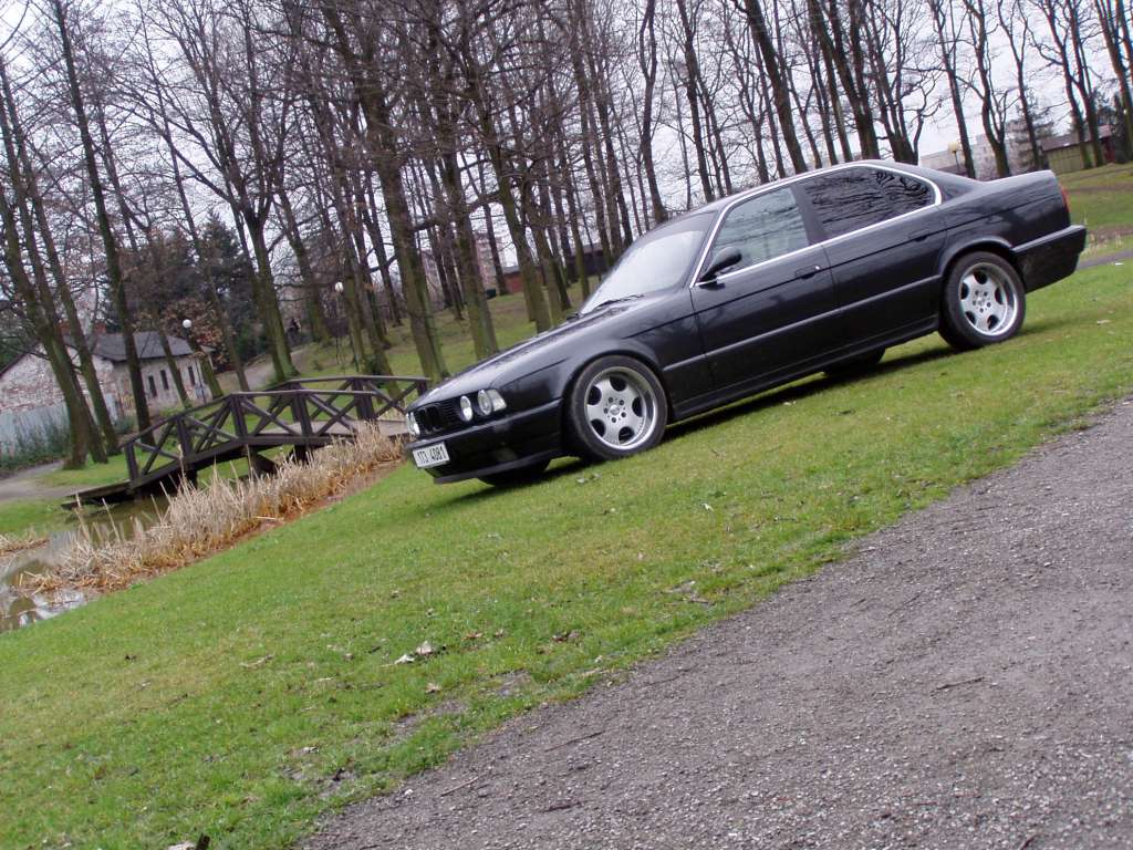 P1010036.JPG
