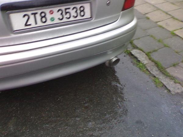 10042007343.jpg