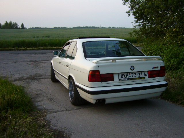 P1000376.JPG