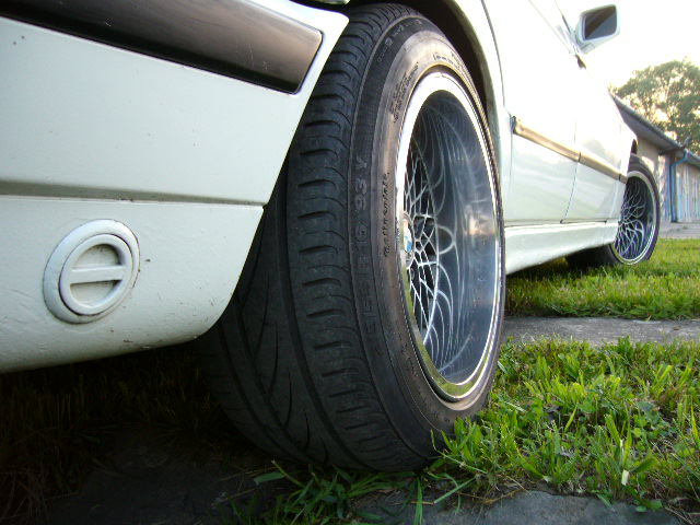 P1000353.JPG
