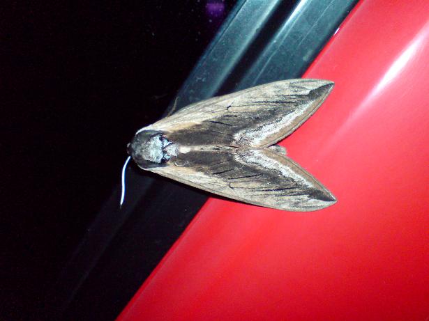Snímek 021.jpg