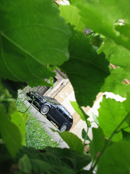 16607_plasy_21_resize.jpg