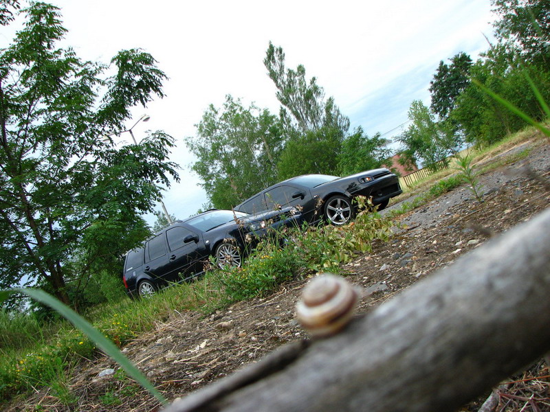 IMG_0079_resize_resize.jpg