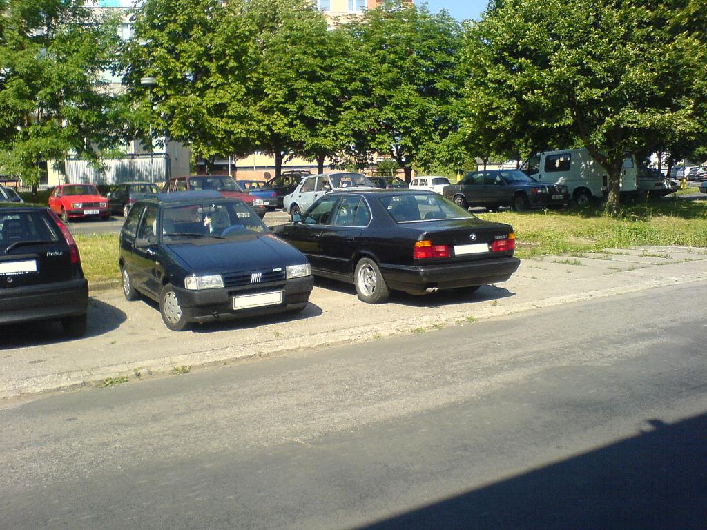 DSC00330.JPG