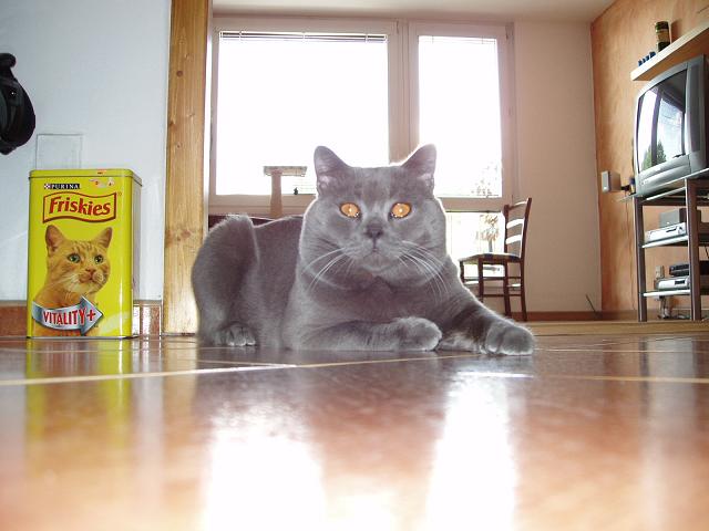 Hermínek 02333.JPG