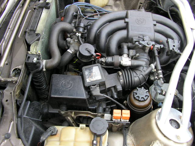 digi fotak 004.jpg
