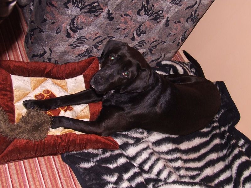 DSCF2506.jpg