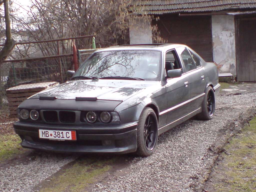 DSC00303.JPG