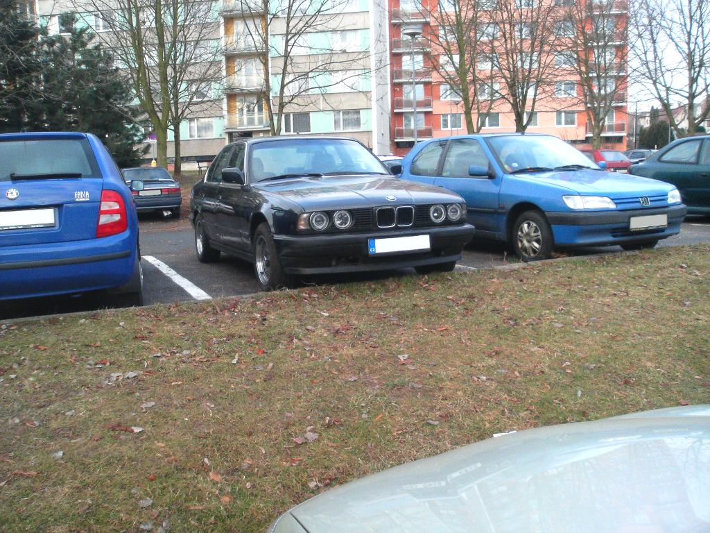190220081145tf.jpg