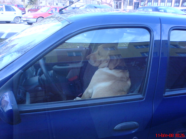 DSC02088.JPG