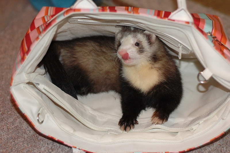 DSC_9057.jpg
