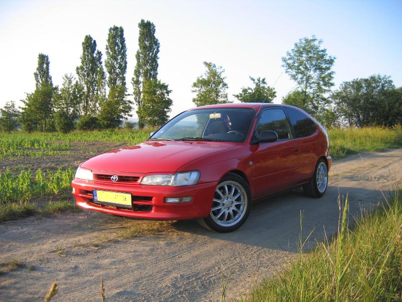 Corolla.JPG
