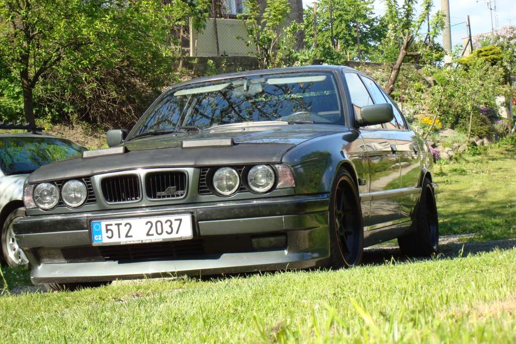 DSC00911.jpg