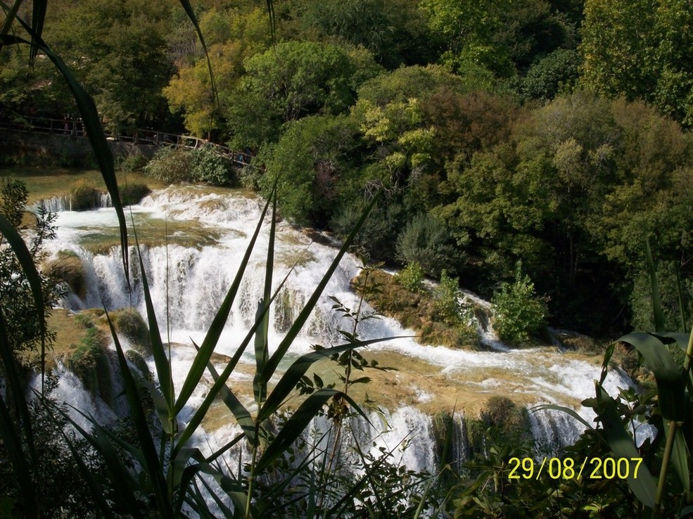 100_0239.jpg