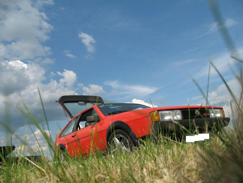 IMG_0260.jpg