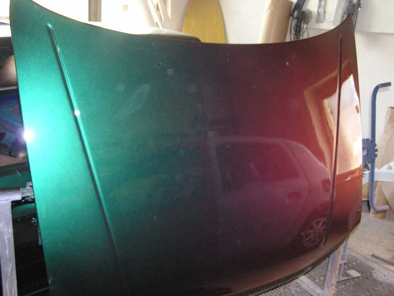 P1010010.JPG