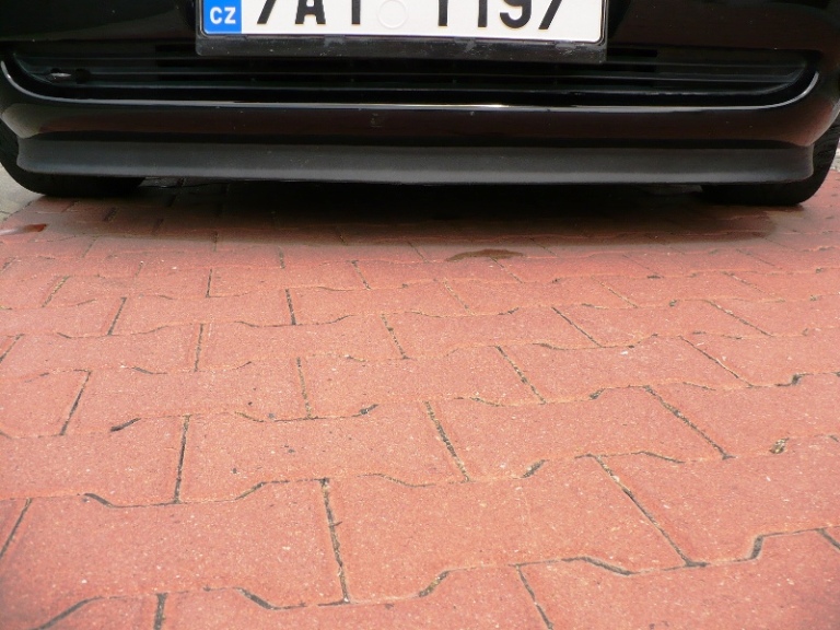 P1010054.JPG