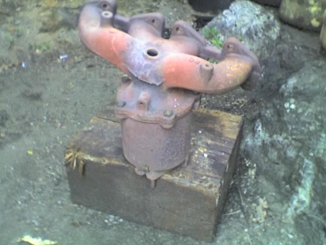 06-15-08_1939.jpg