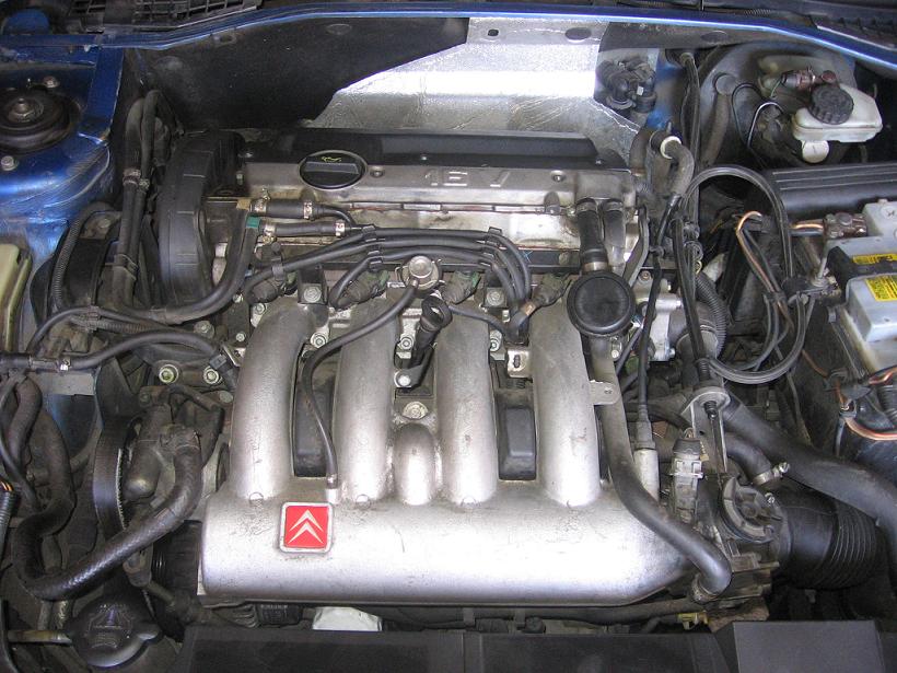 preucil2007 001.jpg