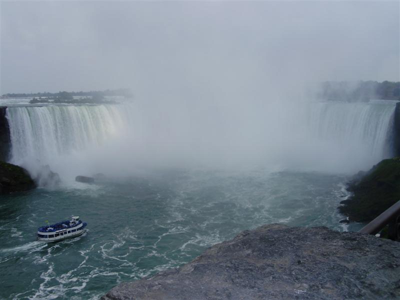 P7110117 (Medium).JPG