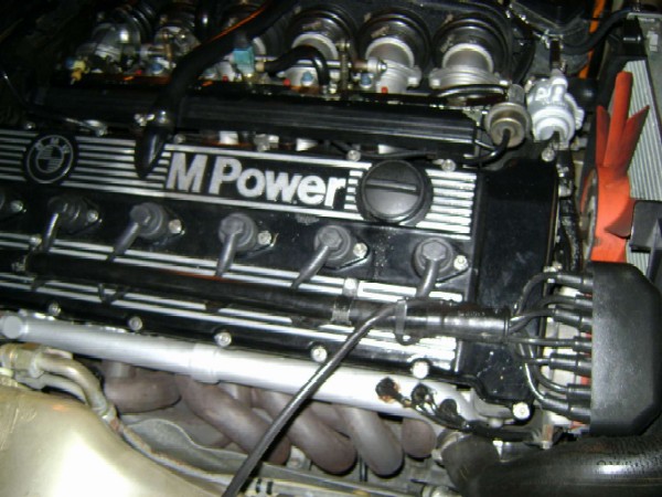 dsc00378hd1.jpg