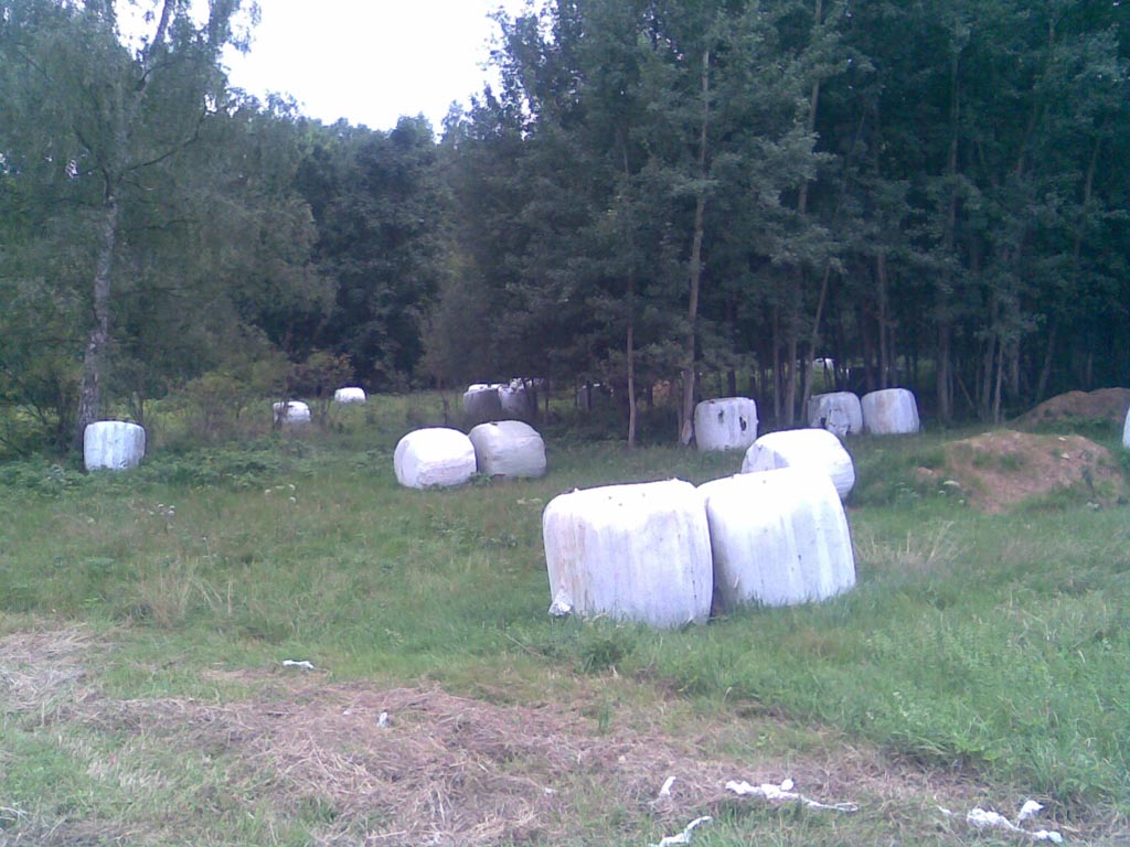 Obraz027.jpg