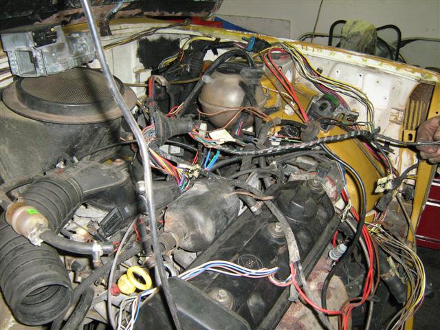 trabi 075 (Small).jpg