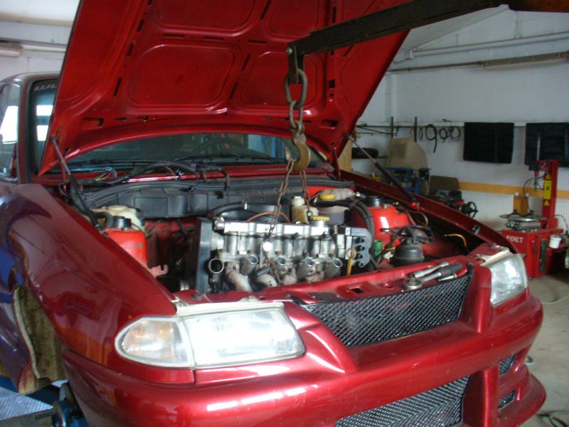 Fotky 204.jpg