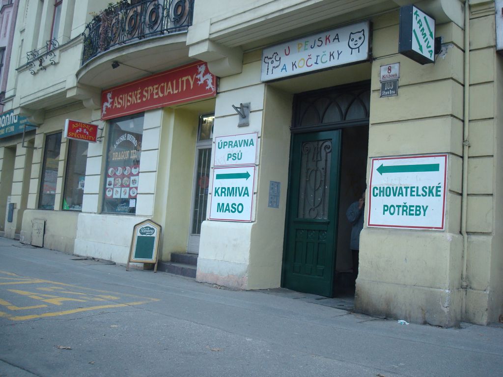 DSC02187.jpg