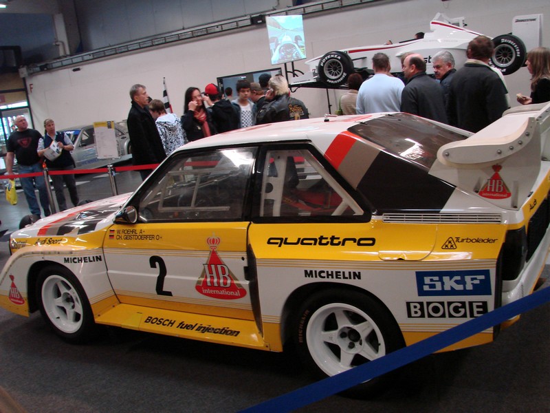 wels_004.jpg