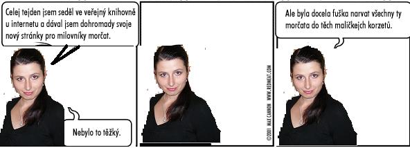 Bez názvu.jpg