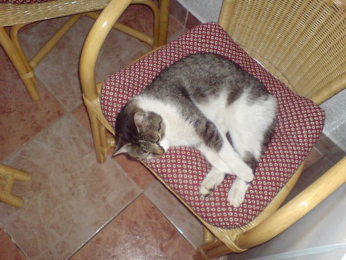 Image00002.jpg