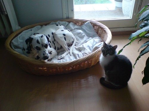 Image00003.jpg