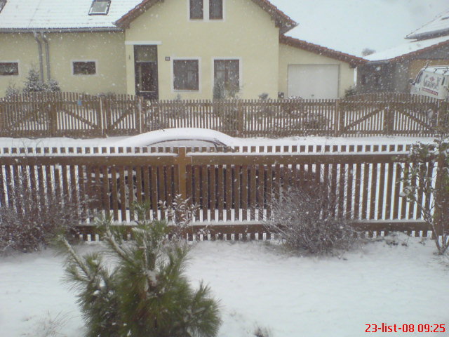 DSC00418.JPG