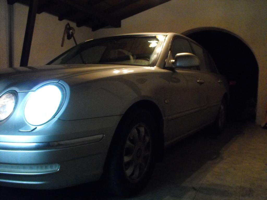 2008_11290084.JPG