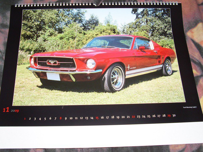 Mustang.jpg