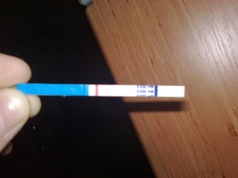 Test - NEGATIVNI