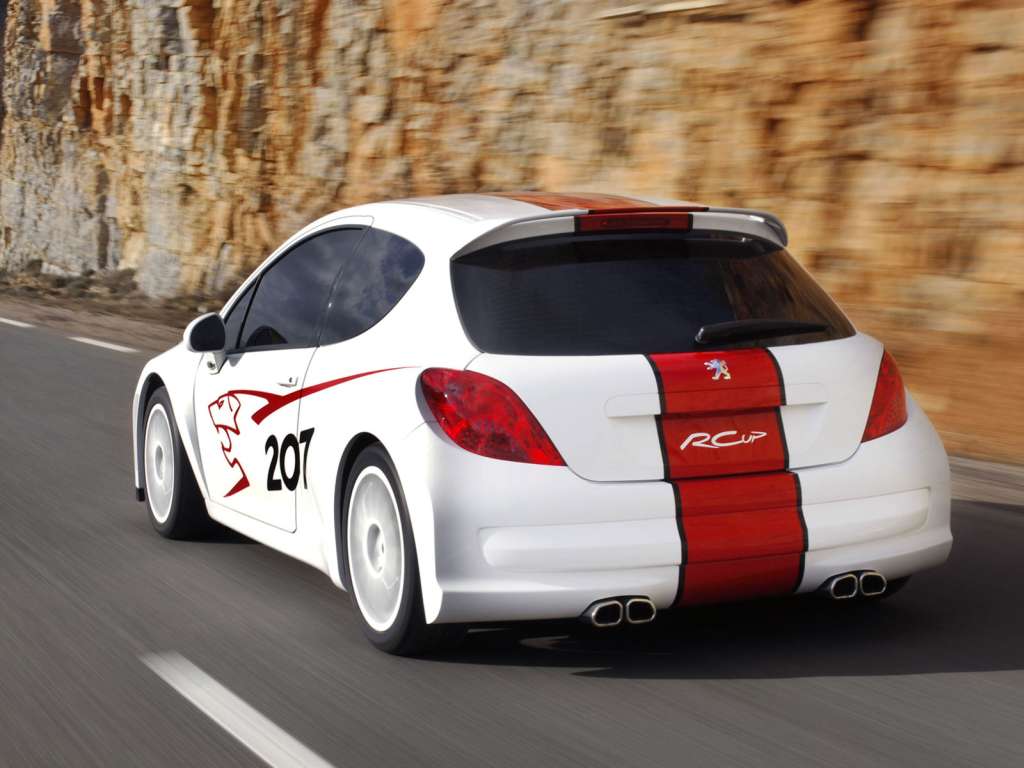 207RCup..jpg