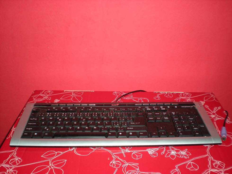 DSCN03000.JPG