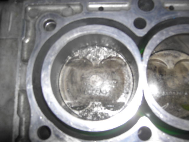 PICT0081.JPG