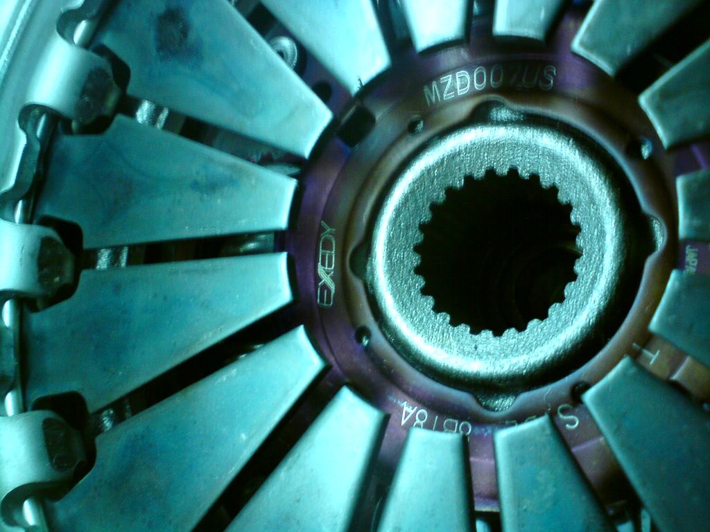DSC00129.JPG