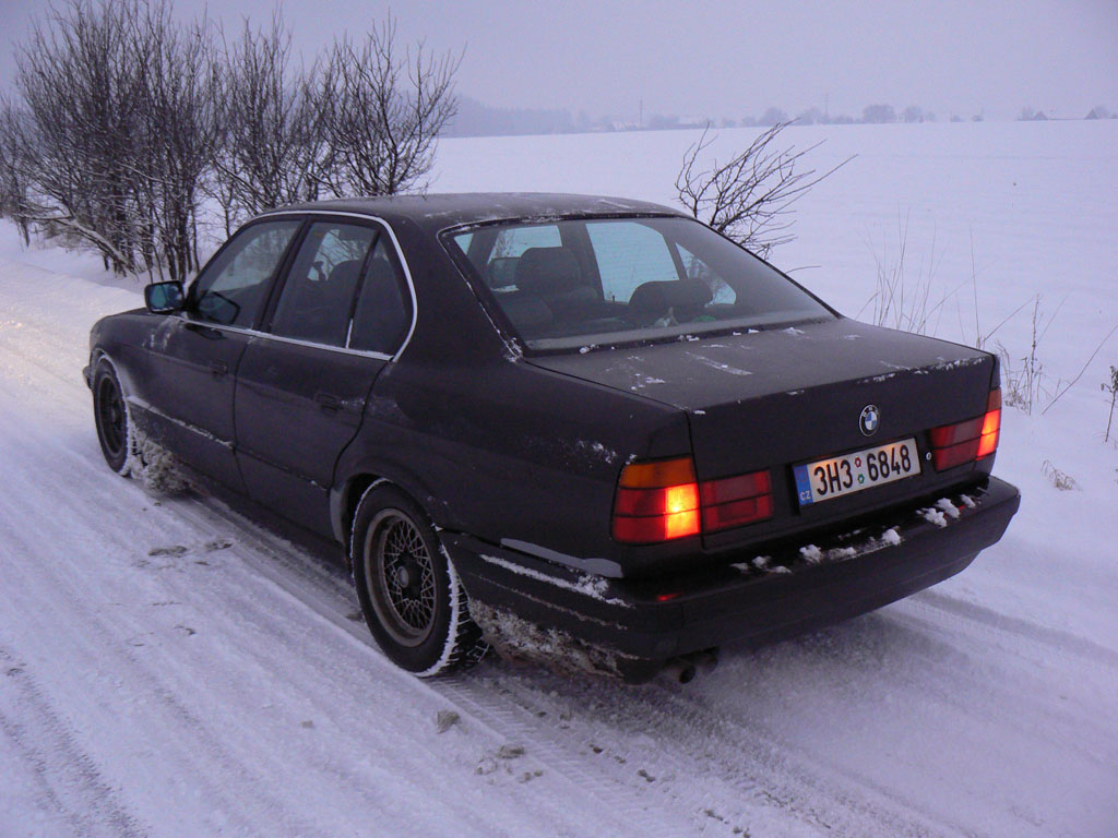 P1050055TF.jpg