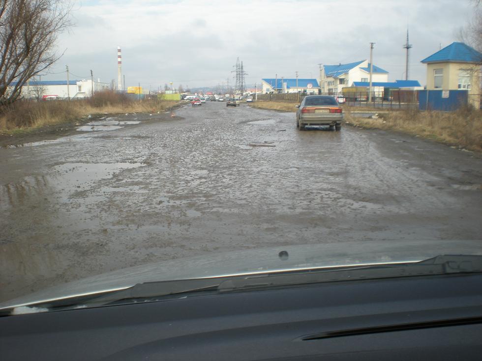 DSCN0798s.jpg