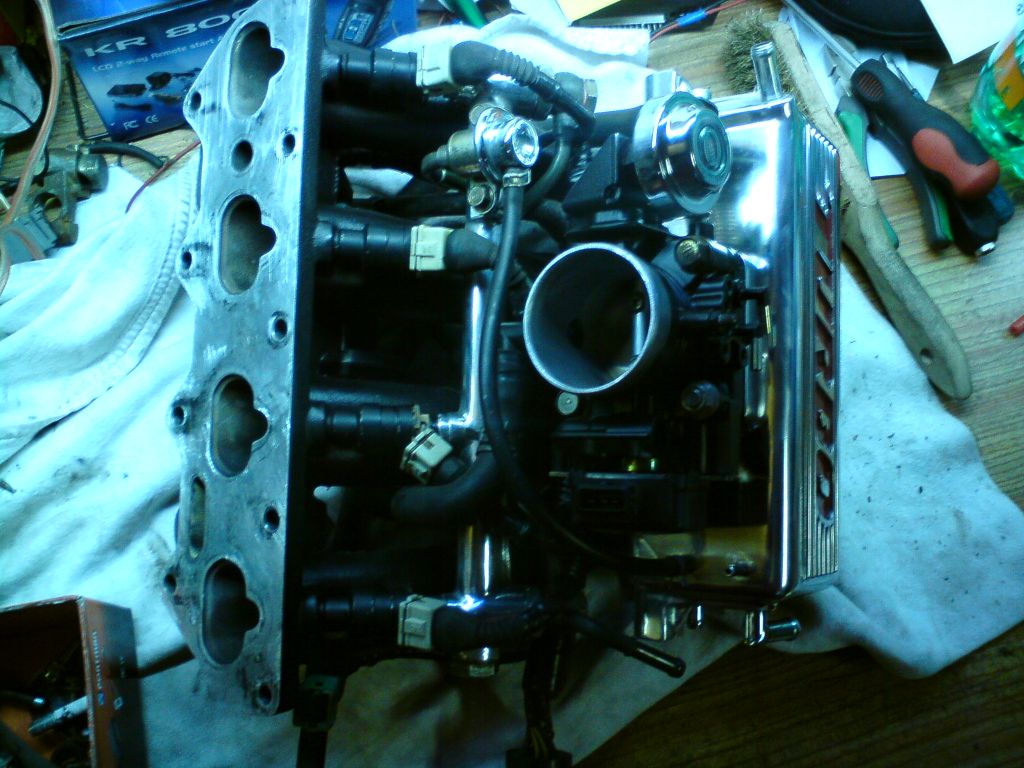DSC00234.jpg