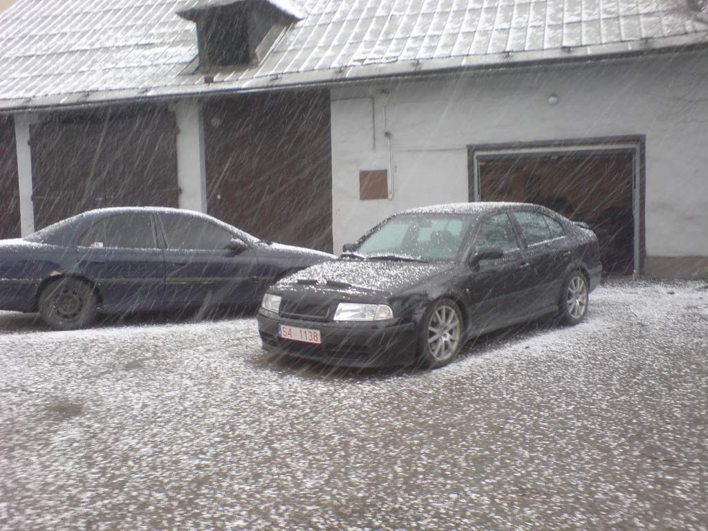 DSC01939.JPG