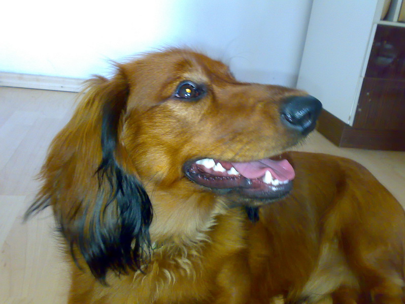 28032009256k.jpg