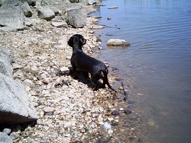 PICT0057.JPG
