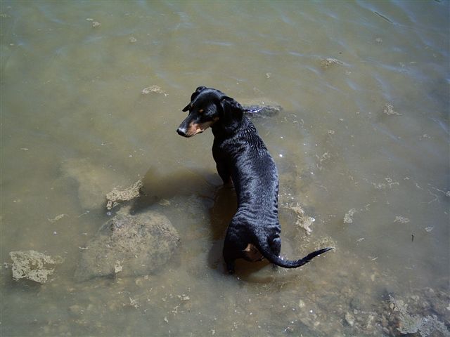 PICT0050.JPG