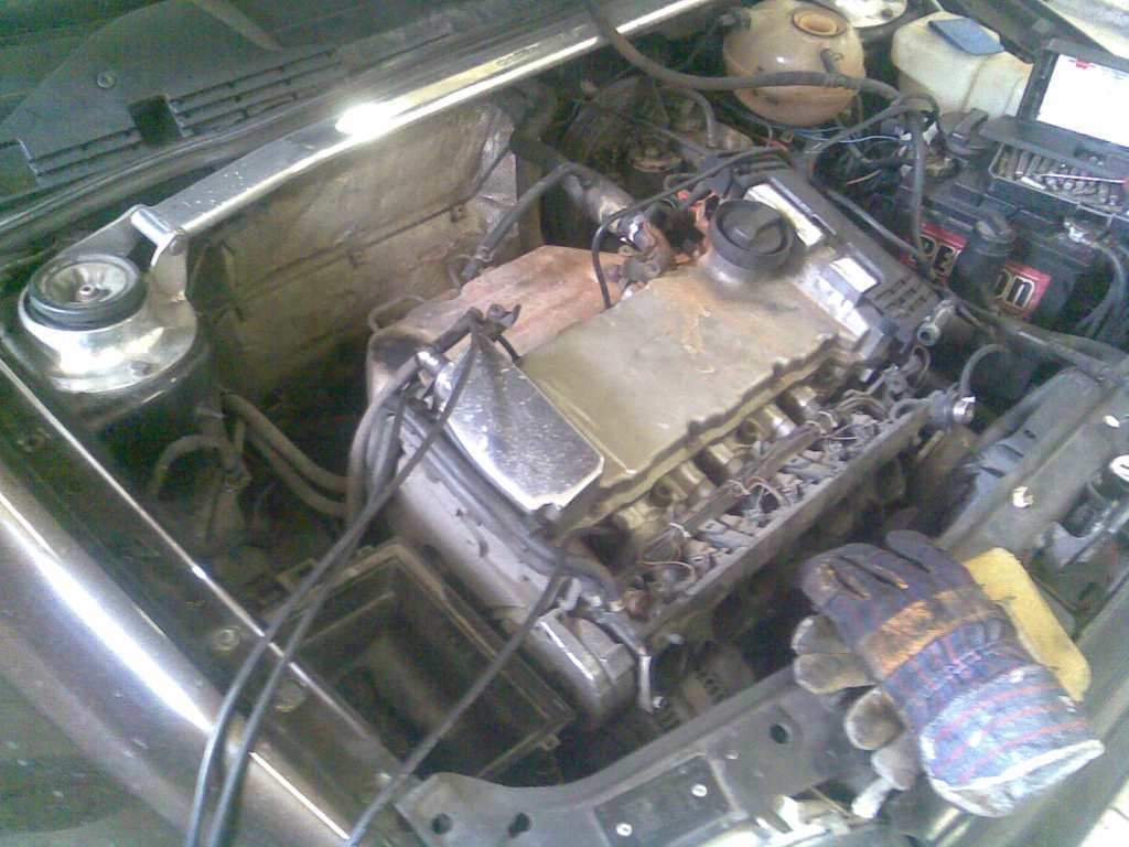 Foto003.jpg